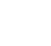 category_icon